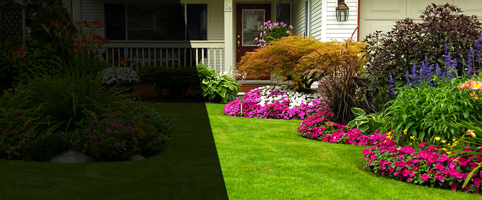 Solon Landscapers
